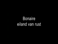 31 film slagbaai - Bonaire Eiland Van Rust